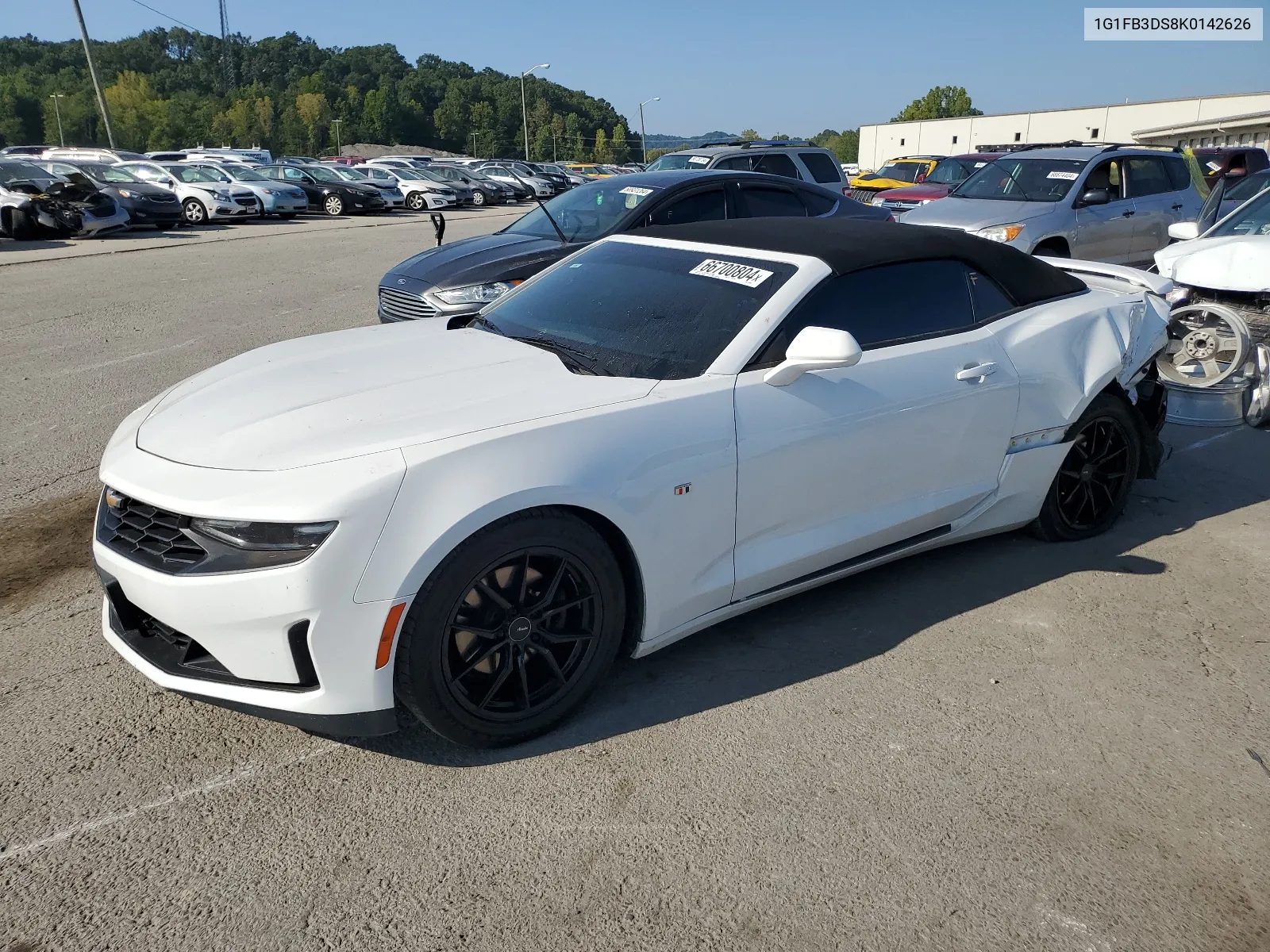 2019 Chevrolet Camaro Ls VIN: 1G1FB3DS8K0142626 Lot: 66700804