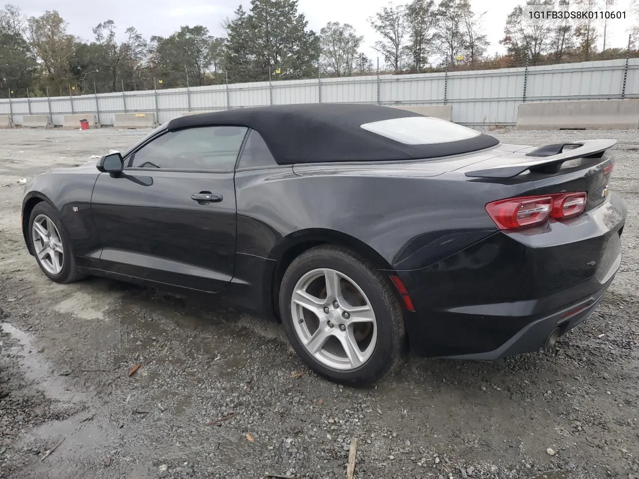 2019 Chevrolet Camaro Ls VIN: 1G1FB3DS8K0110601 Lot: 78877154