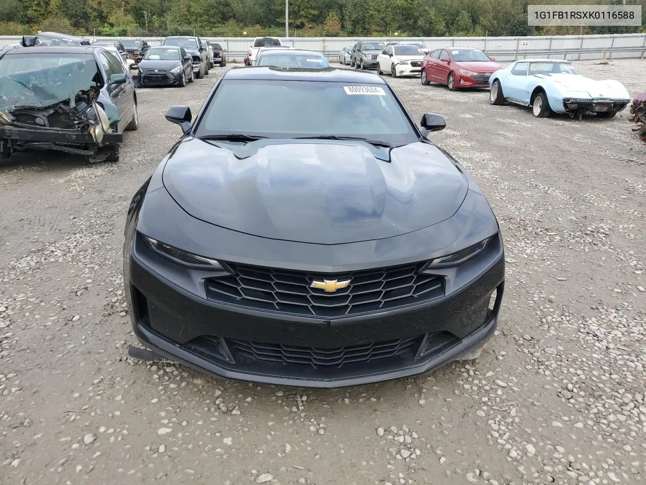 2019 Chevrolet Camaro Ls VIN: 1G1FB1RSXK0116588 Lot: 80093604