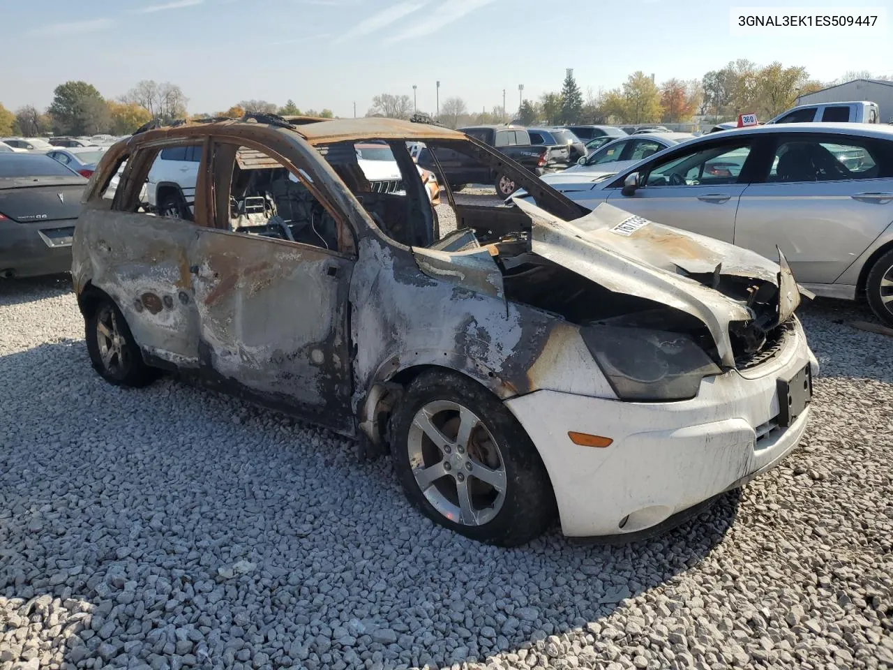 2014 Chevrolet Captiva Lt VIN: 3GNAL3EK1ES509447 Lot: 76773354