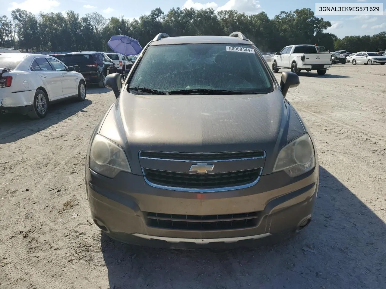 2014 Chevrolet Captiva Lt VIN: 3GNAL3EK9ES571629 Lot: 80009444