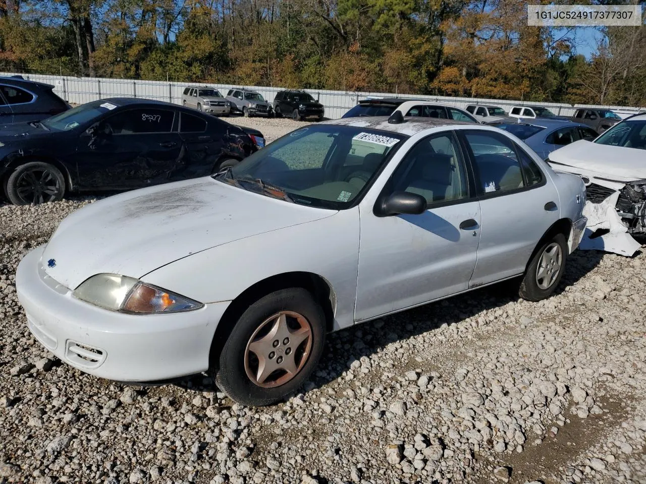 2001 Chevrolet Cavalier Base VIN: 1G1JC524917377307 Lot: 73860993