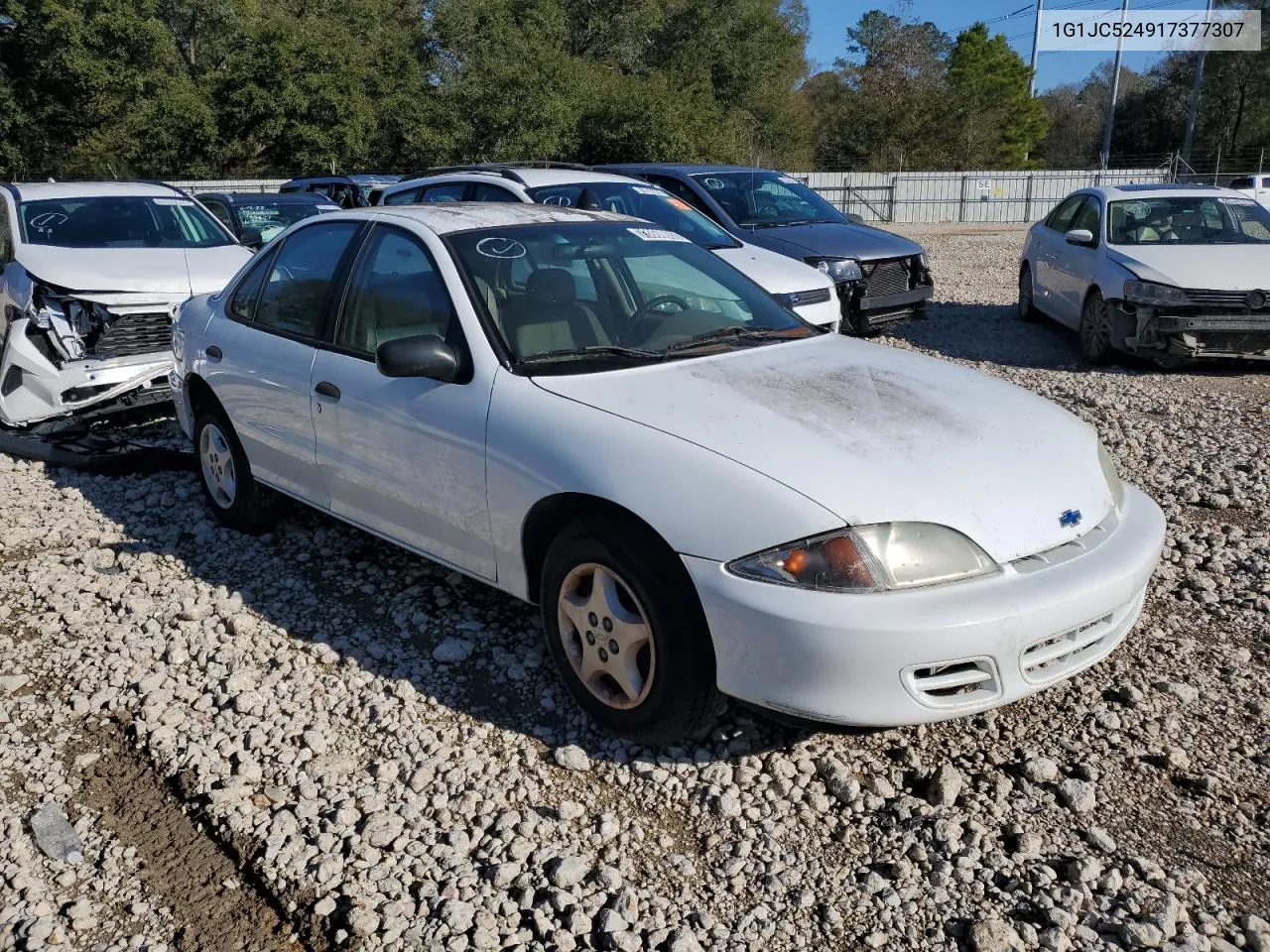 2001 Chevrolet Cavalier Base VIN: 1G1JC524917377307 Lot: 73860993