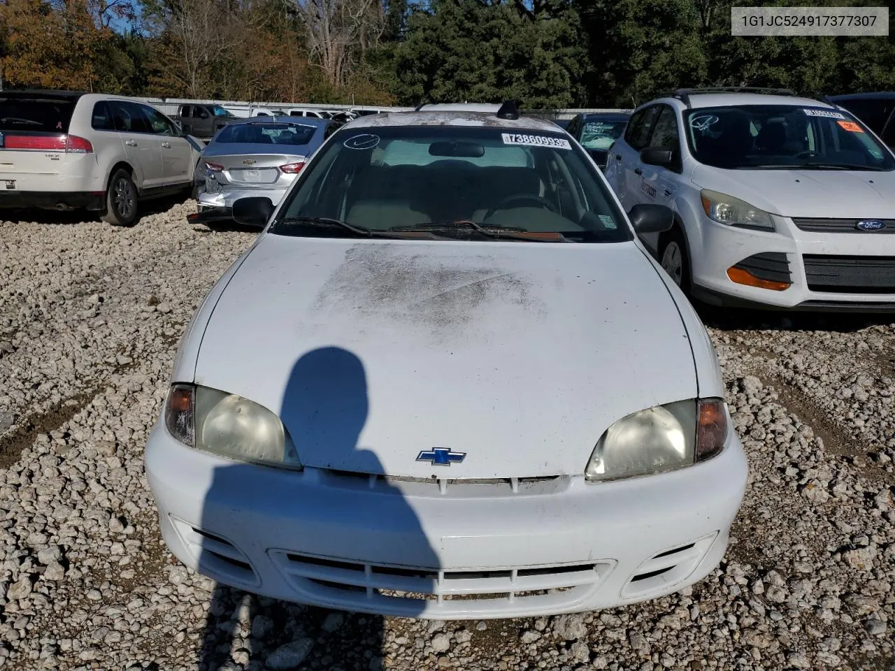 2001 Chevrolet Cavalier Base VIN: 1G1JC524917377307 Lot: 73860993