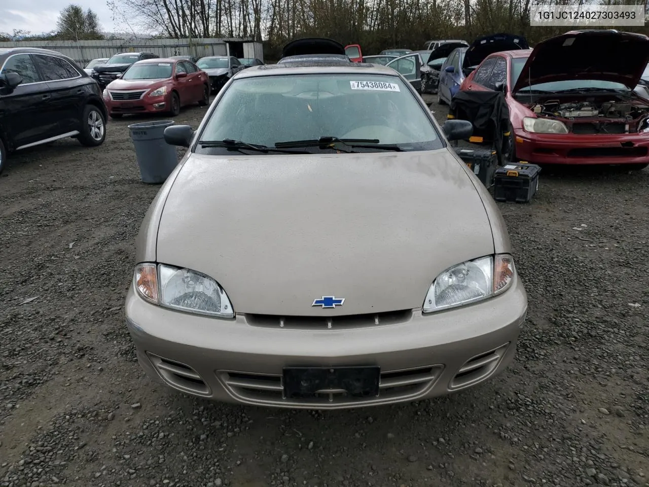 2002 Chevrolet Cavalier VIN: 1G1JC124027303493 Lot: 75438084