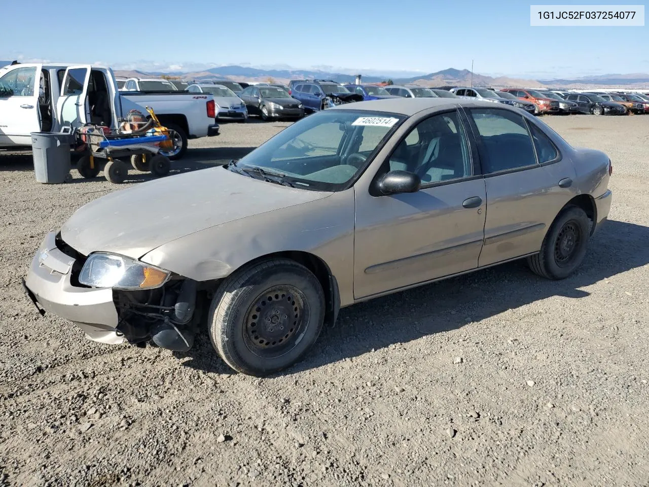 2003 Chevrolet Cavalier VIN: 1G1JC52F037254077 Lot: 74602514