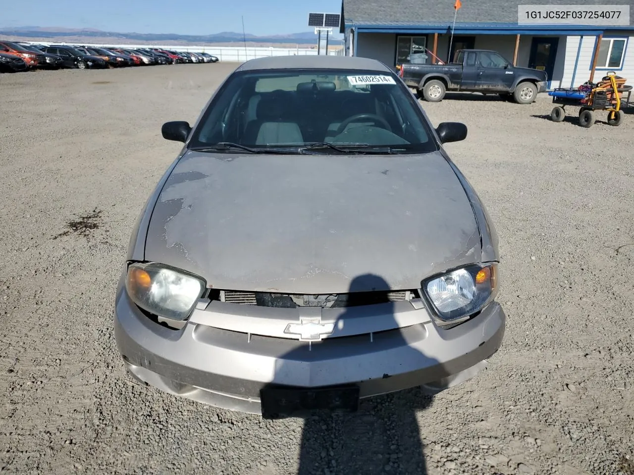 2003 Chevrolet Cavalier VIN: 1G1JC52F037254077 Lot: 74602514