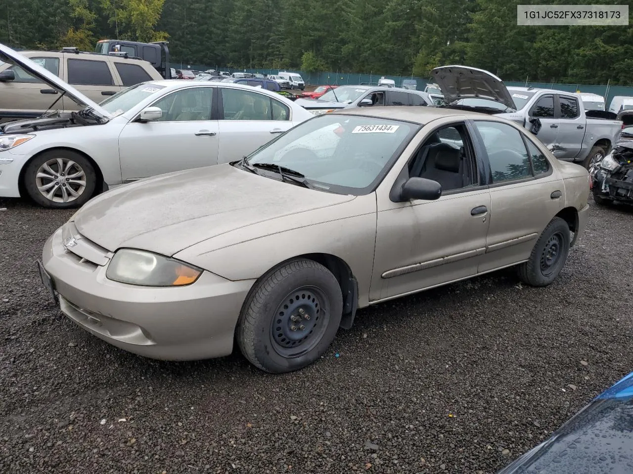 2003 Chevrolet Cavalier VIN: 1G1JC52FX37318173 Lot: 75631434