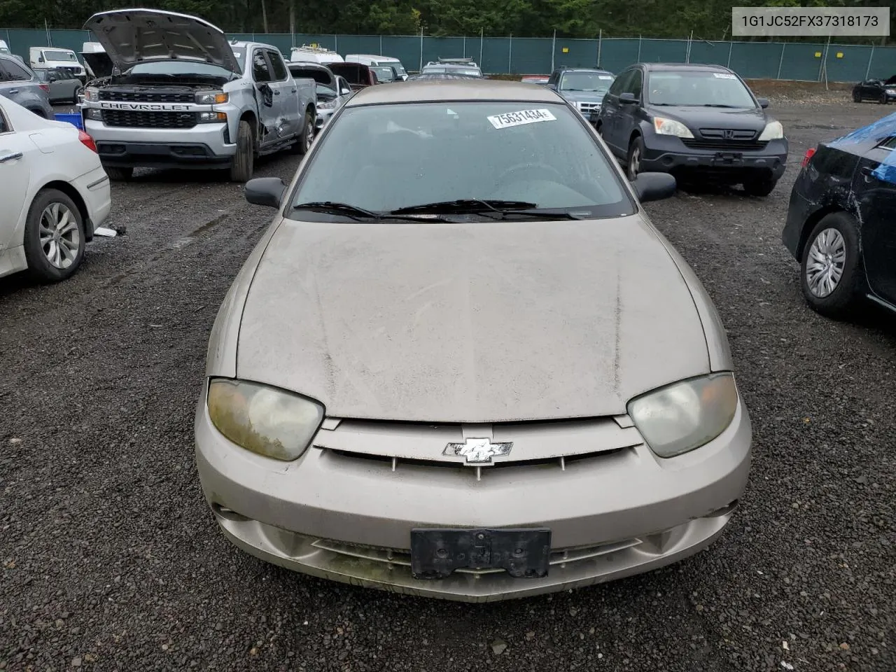 2003 Chevrolet Cavalier VIN: 1G1JC52FX37318173 Lot: 75631434