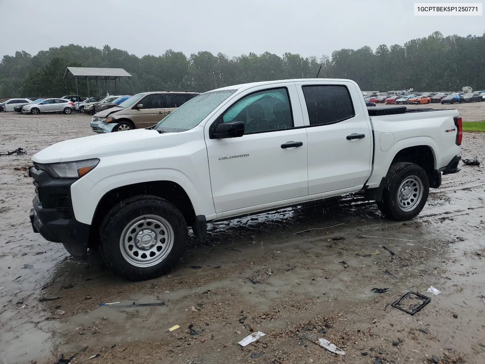 2023 Chevrolet Colorado VIN: 1GCPTBEK5P1250771 Lot: 66151624