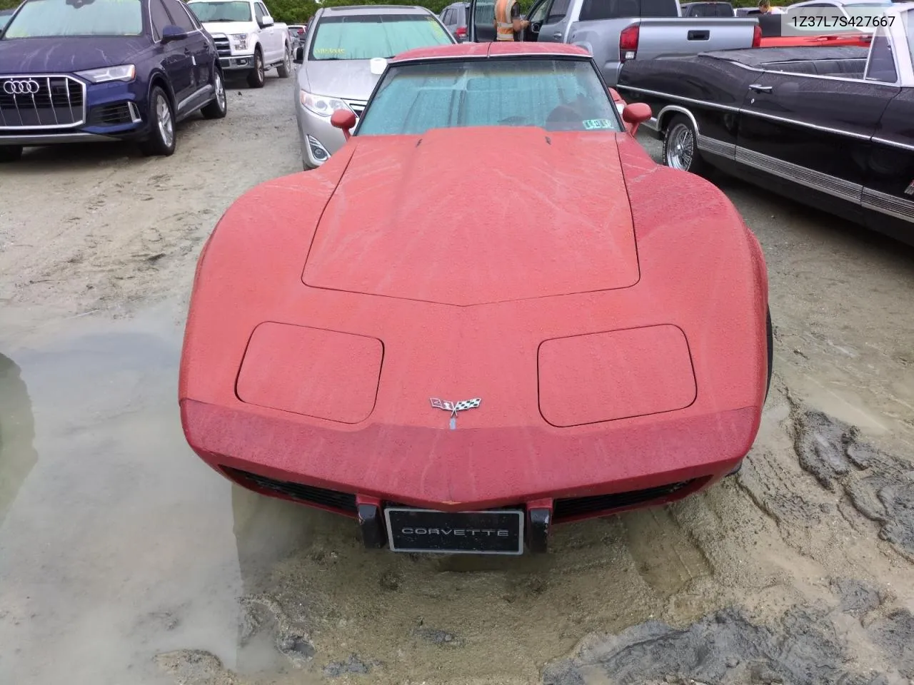 1977 Chevrolet Corvette VIN: 1Z37L7S427667 Lot: 75077574