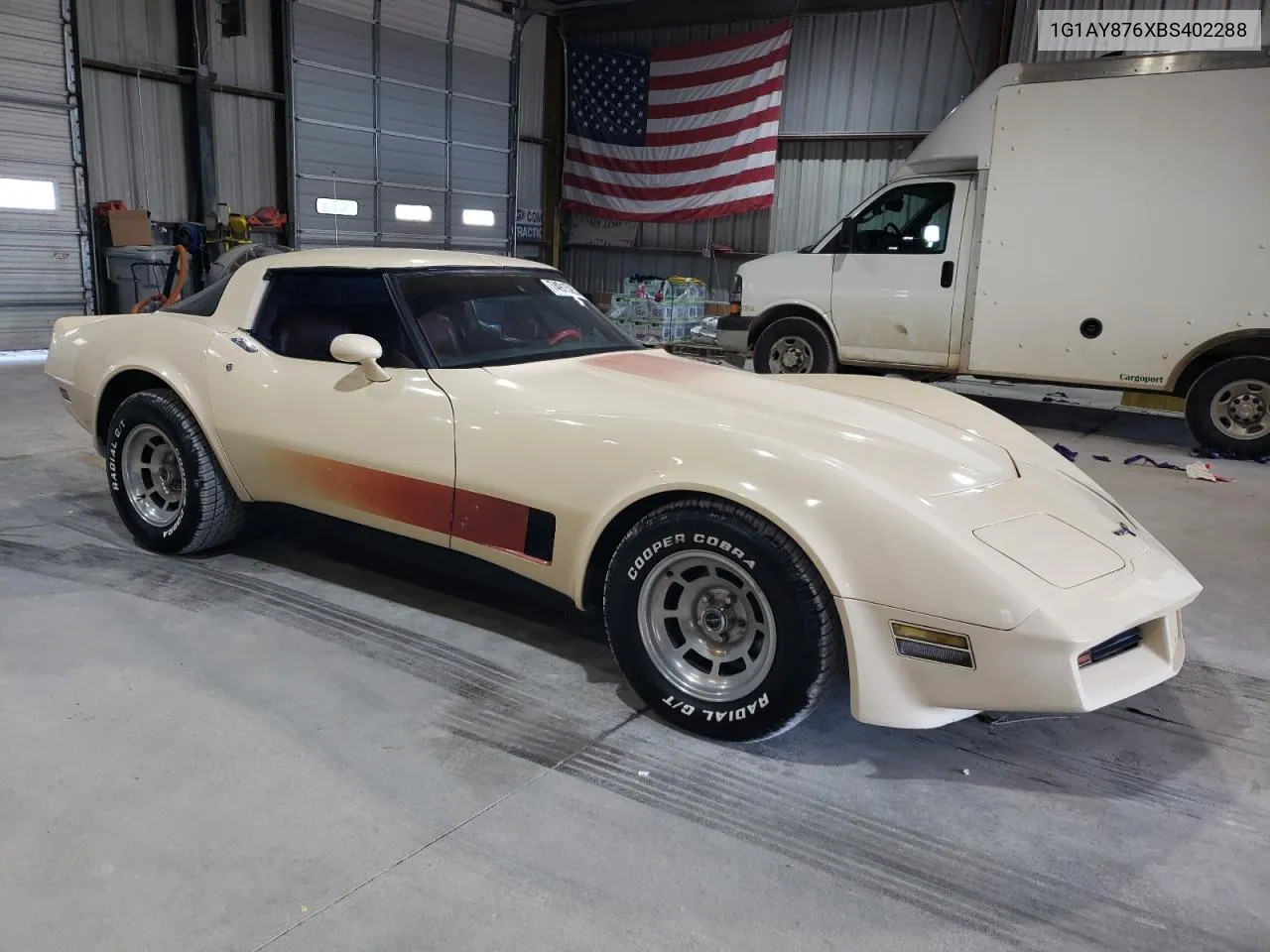 1981 Chevrolet Corvette VIN: 1G1AY876XBS402288 Lot: 74915254