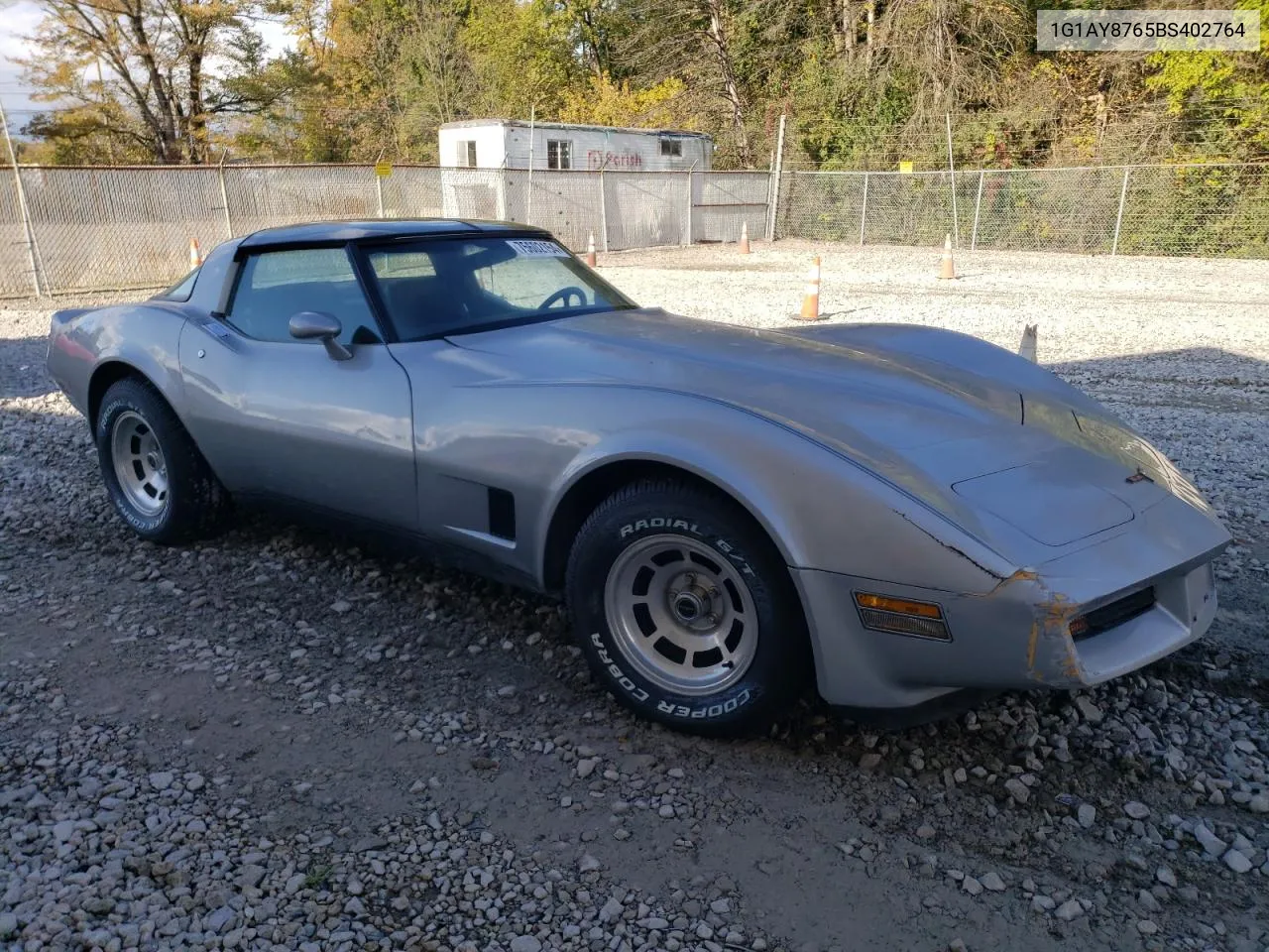 1981 Chevrolet Corvette VIN: 1G1AY8765BS402764 Lot: 75602154