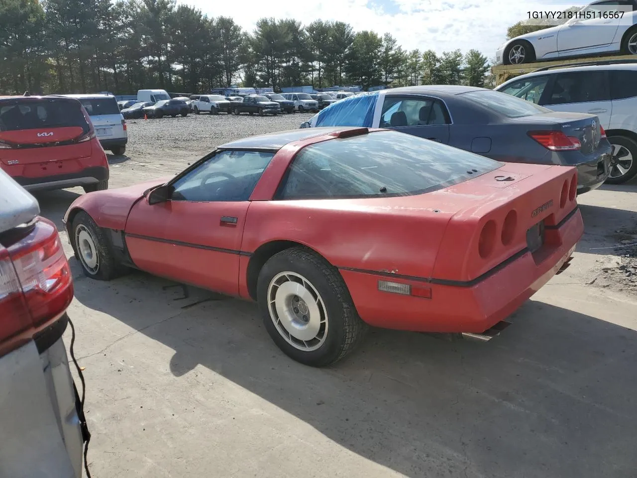 1987 Chevrolet Corvette VIN: 1G1YY2181H5116567 Lot: 74906484