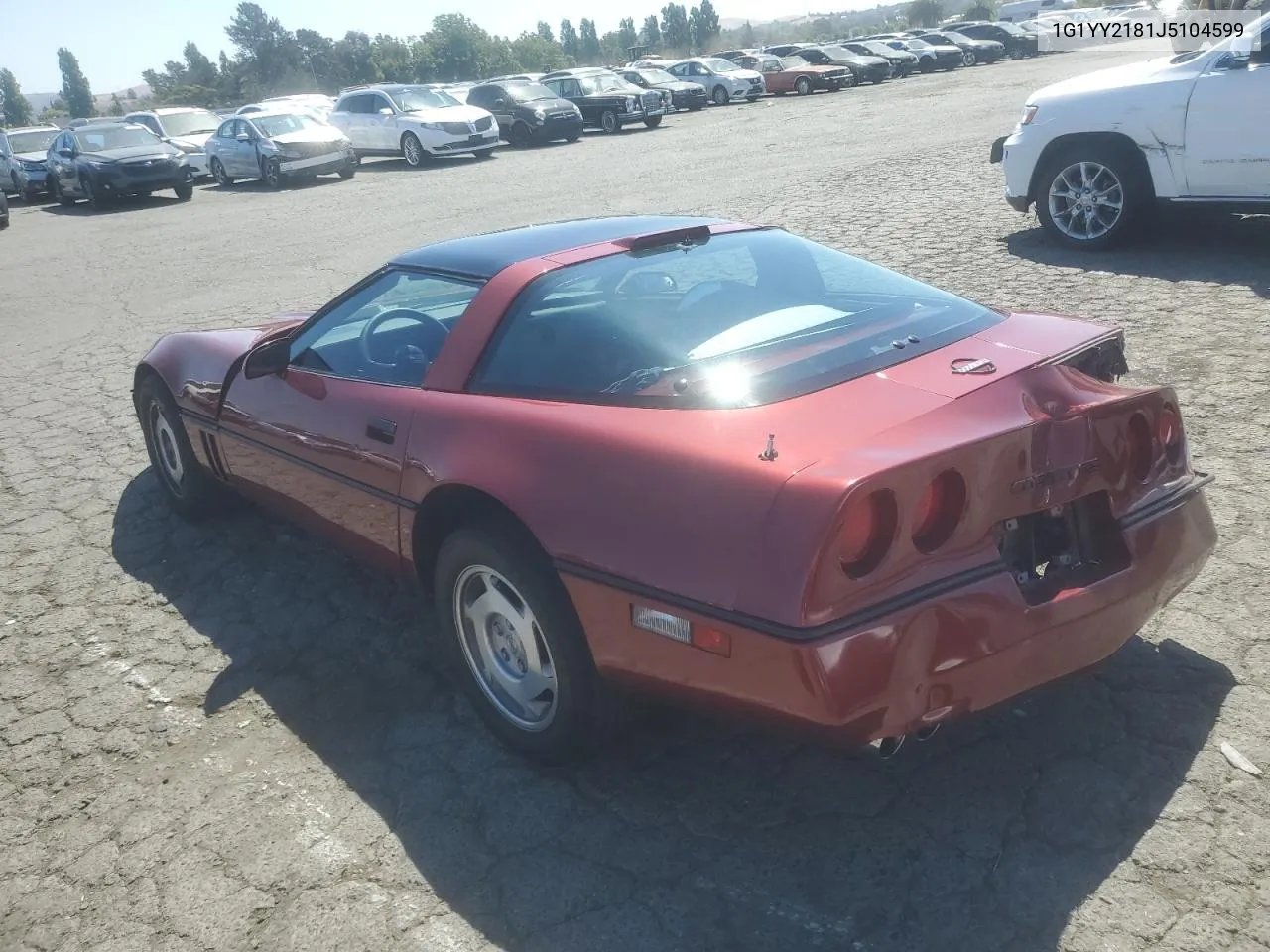 1988 Chevrolet Corvette VIN: 1G1YY2181J5104599 Lot: 61953544