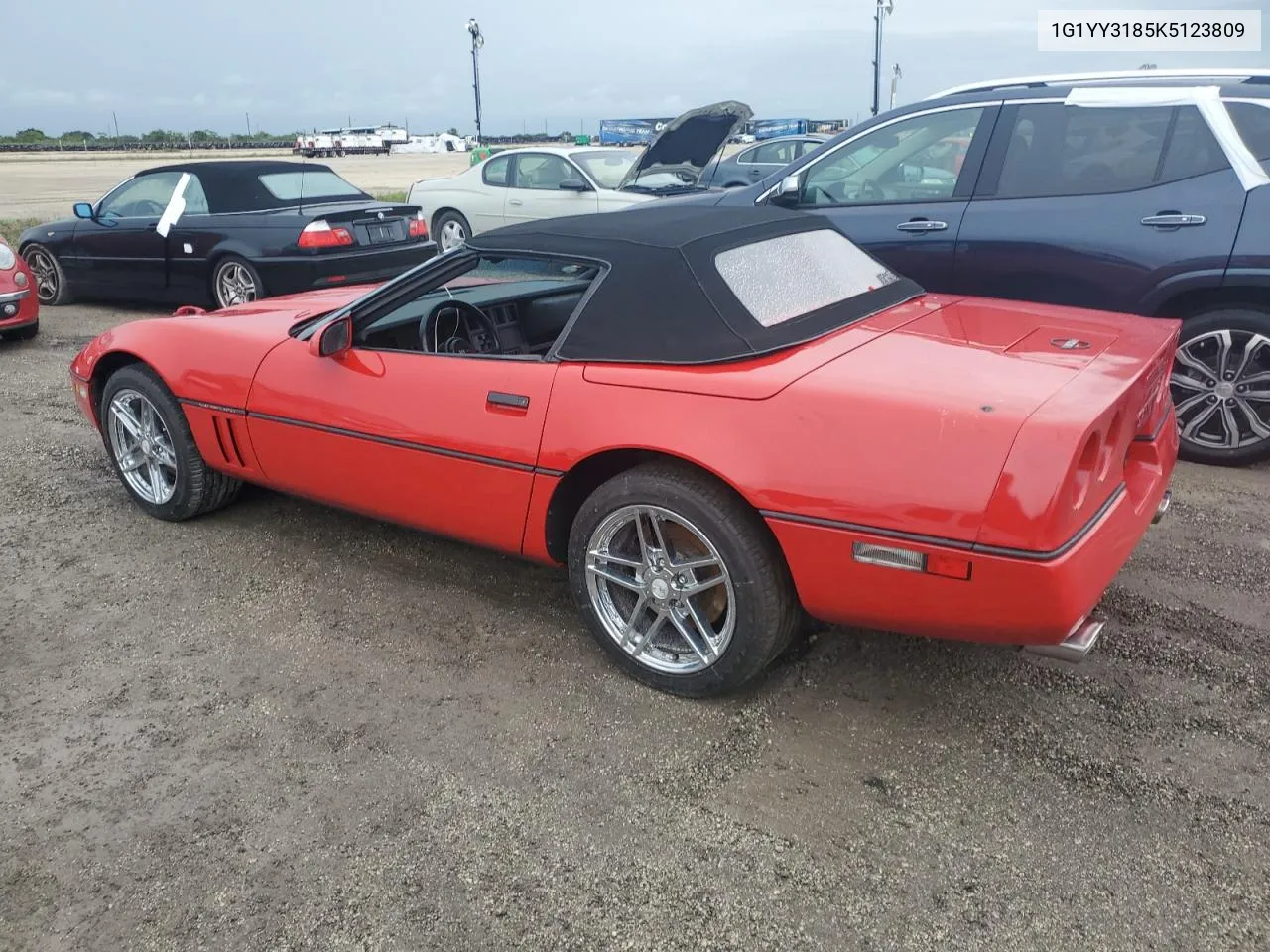 1989 Chevrolet Corvette VIN: 1G1YY3185K5123809 Lot: 75004184