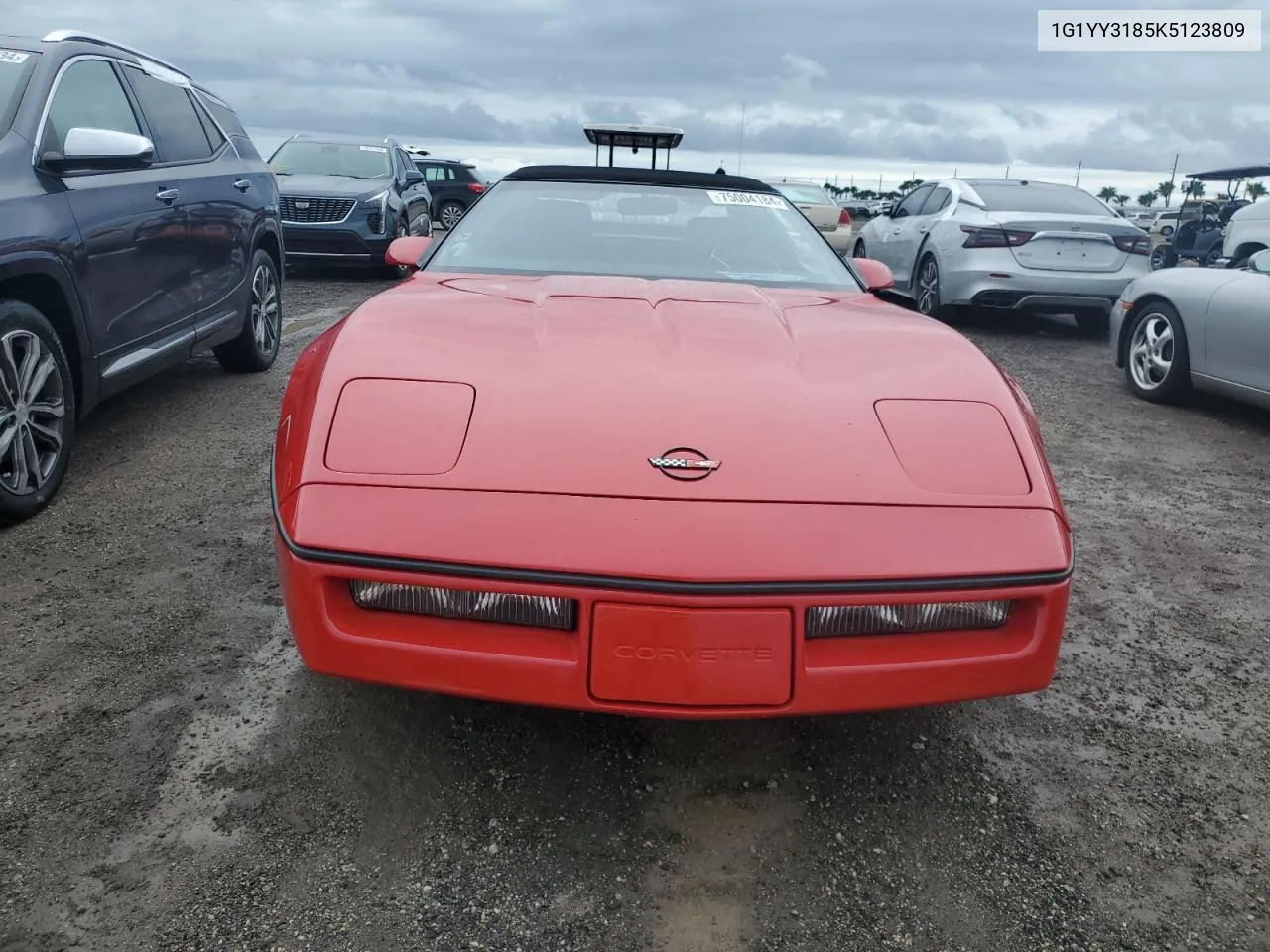 1989 Chevrolet Corvette VIN: 1G1YY3185K5123809 Lot: 75004184