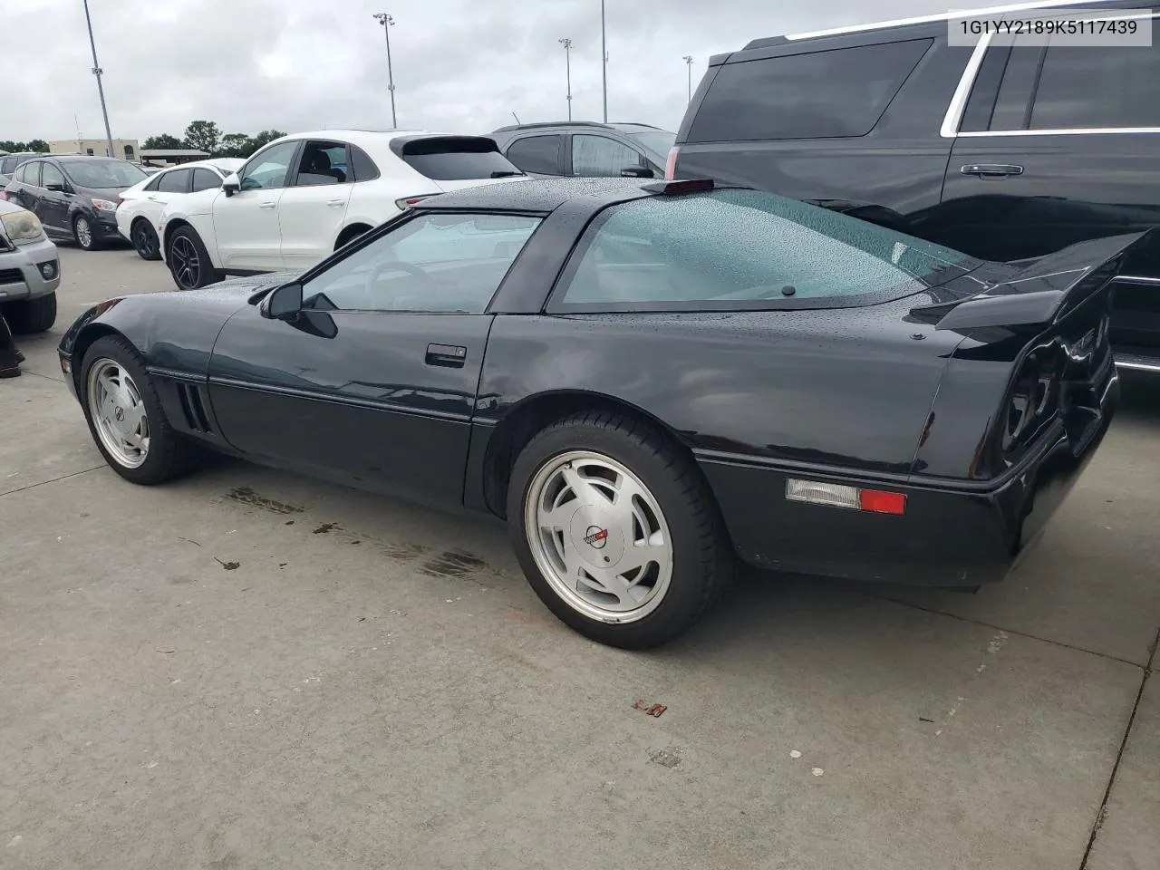 1989 Chevrolet Corvette VIN: 1G1YY2189K5117439 Lot: 75006794