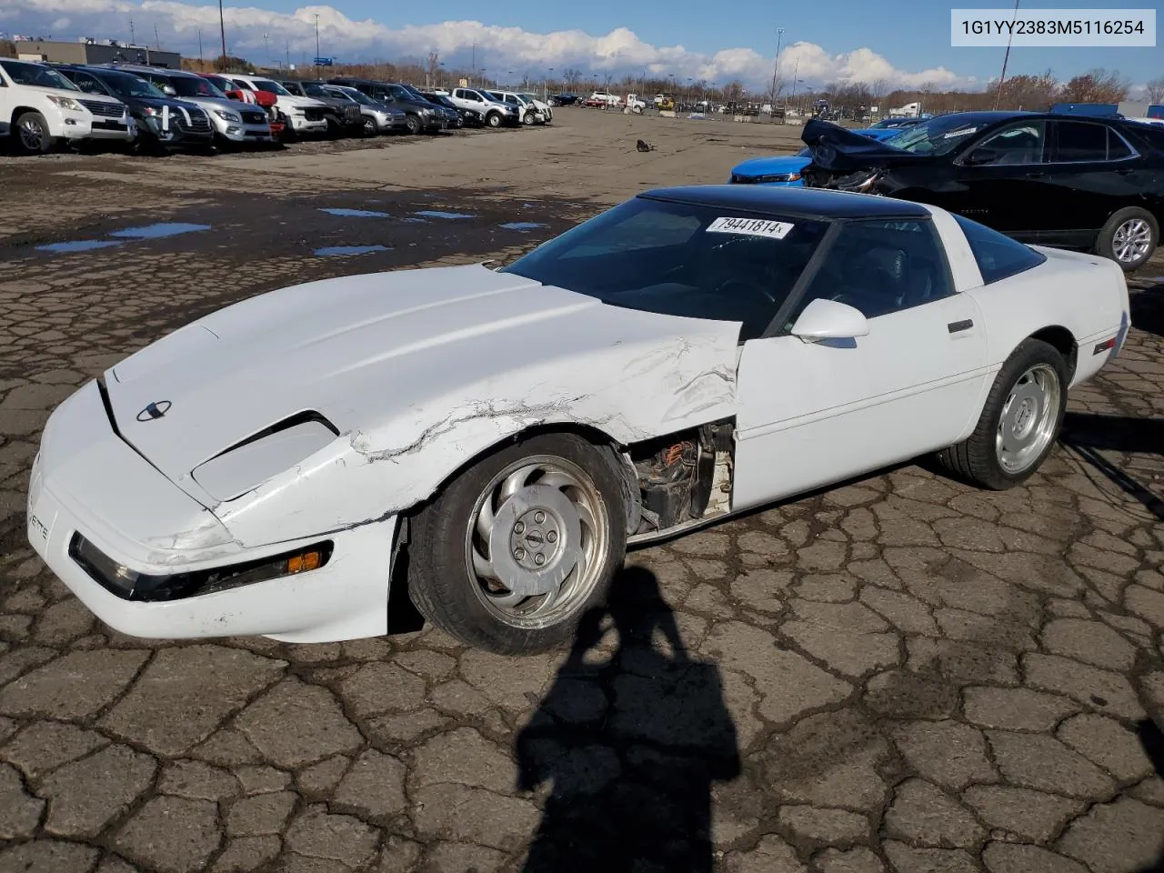 1991 Chevrolet Corvette VIN: 1G1YY2383M5116254 Lot: 79441814