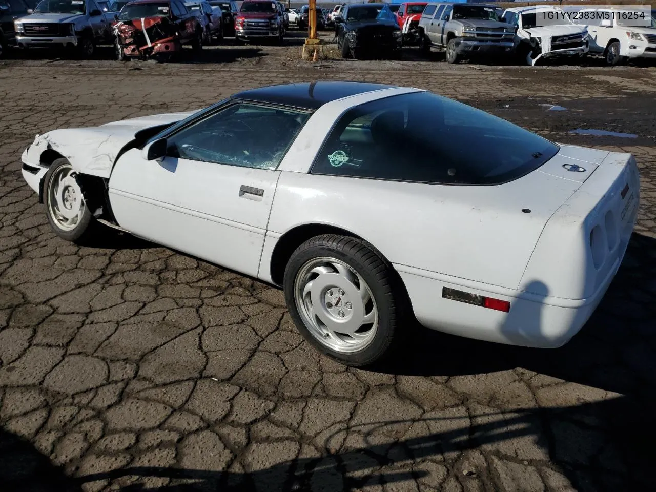 1991 Chevrolet Corvette VIN: 1G1YY2383M5116254 Lot: 79441814