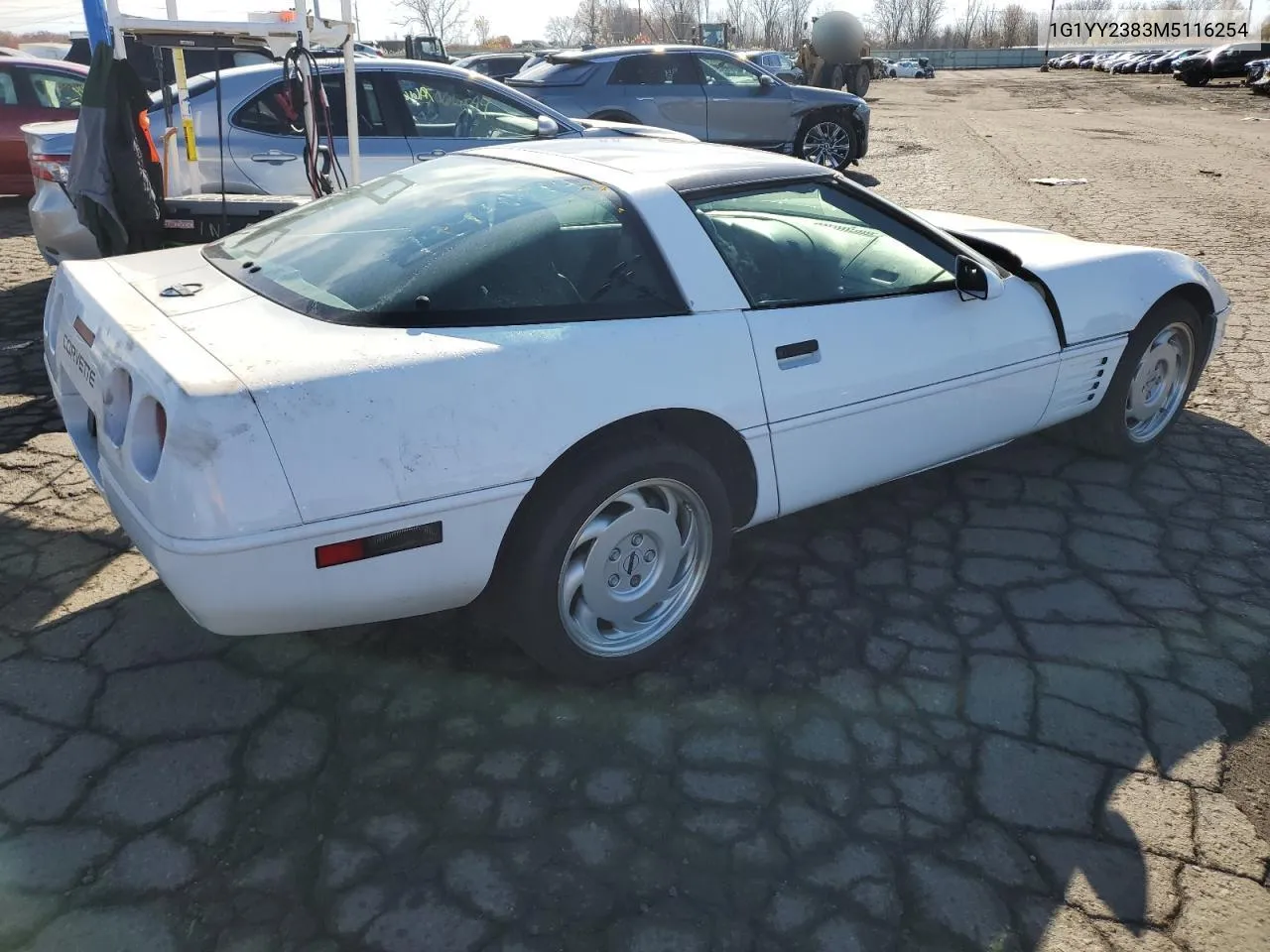 1991 Chevrolet Corvette VIN: 1G1YY2383M5116254 Lot: 79441814