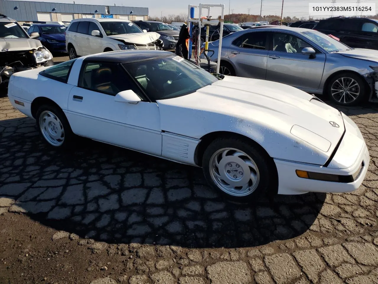 1991 Chevrolet Corvette VIN: 1G1YY2383M5116254 Lot: 79441814