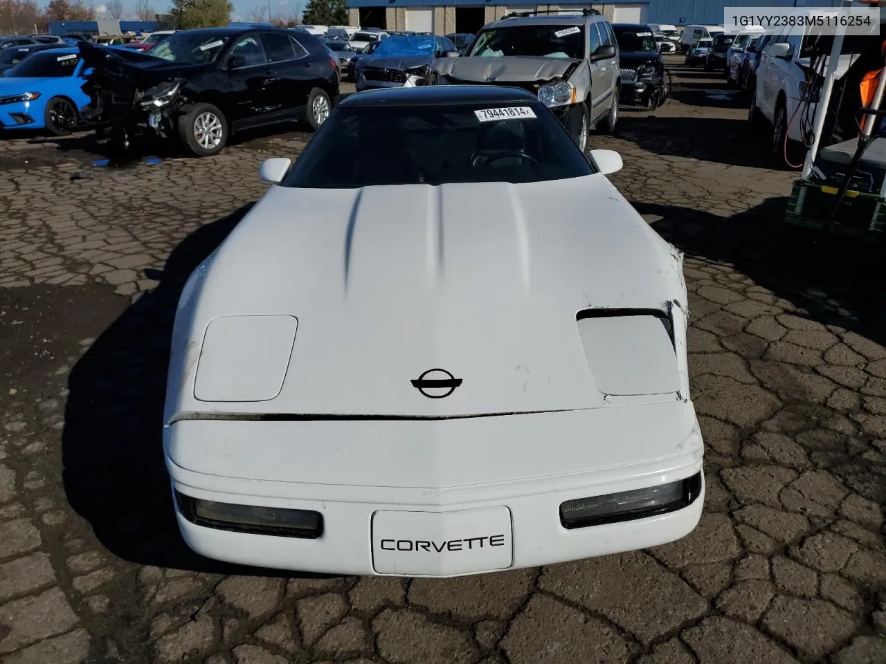 1991 Chevrolet Corvette VIN: 1G1YY2383M5116254 Lot: 79441814