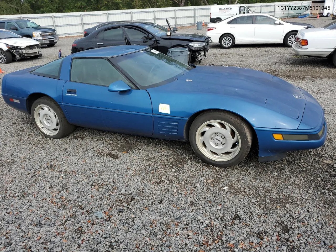 1991 Chevrolet Corvette VIN: 1G1YY2387M5101045 Lot: 79450494