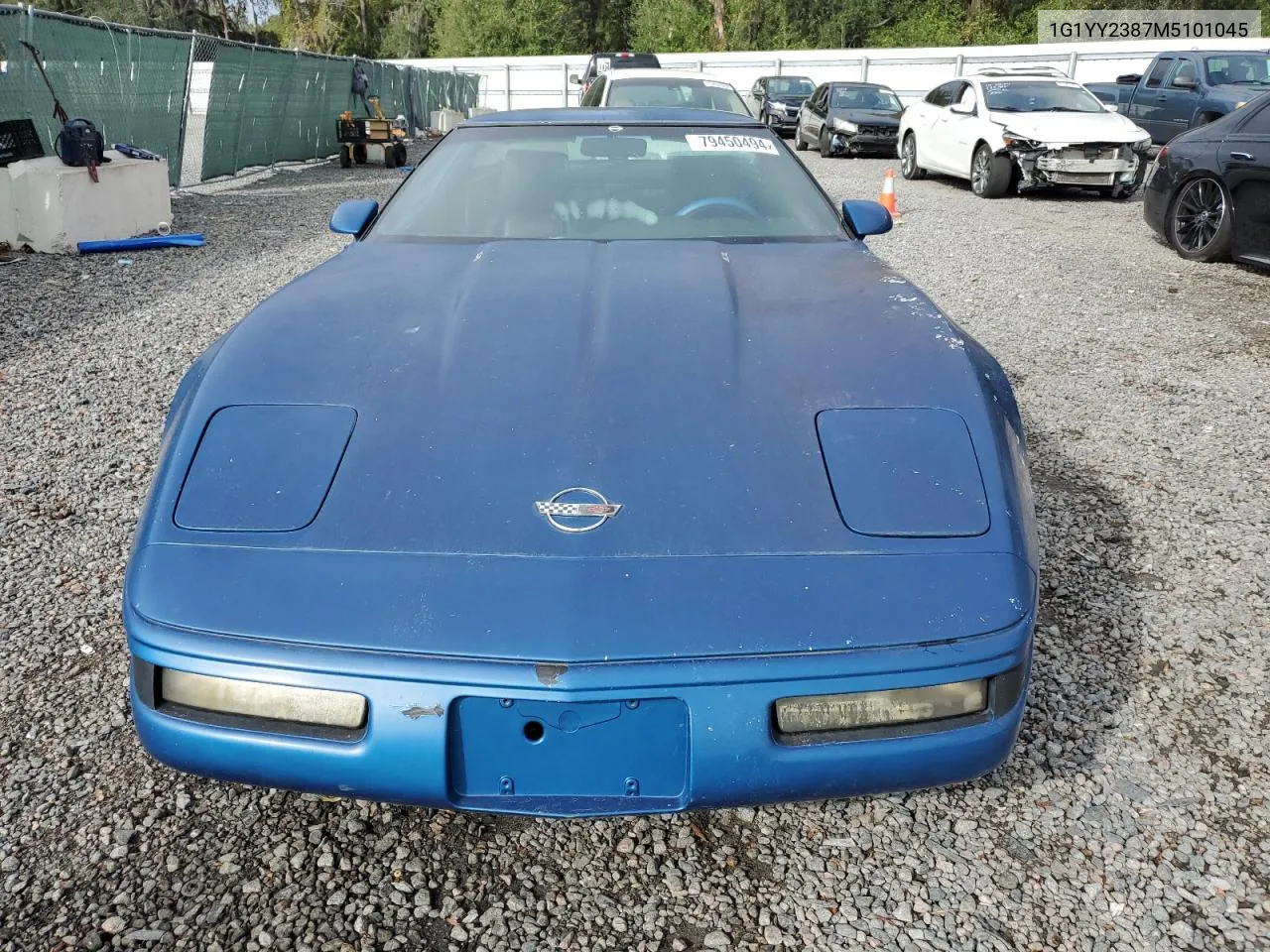 1991 Chevrolet Corvette VIN: 1G1YY2387M5101045 Lot: 79450494