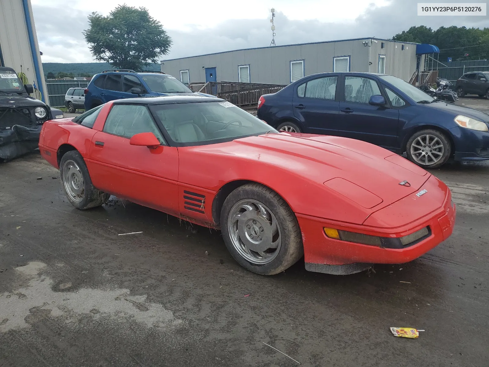 1993 Chevrolet Corvette VIN: 1G1YY23P6P5120276 Lot: 67511154