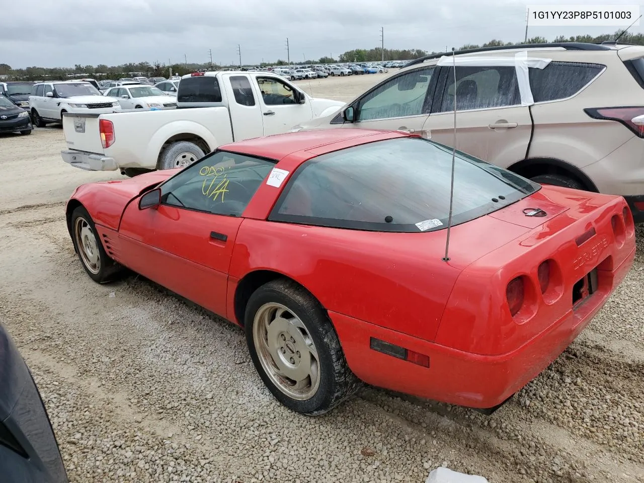 1993 Chevrolet Corvette VIN: 1G1YY23P8P5101003 Lot: 77685914