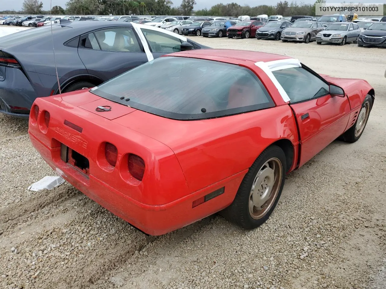 1993 Chevrolet Corvette VIN: 1G1YY23P8P5101003 Lot: 77685914