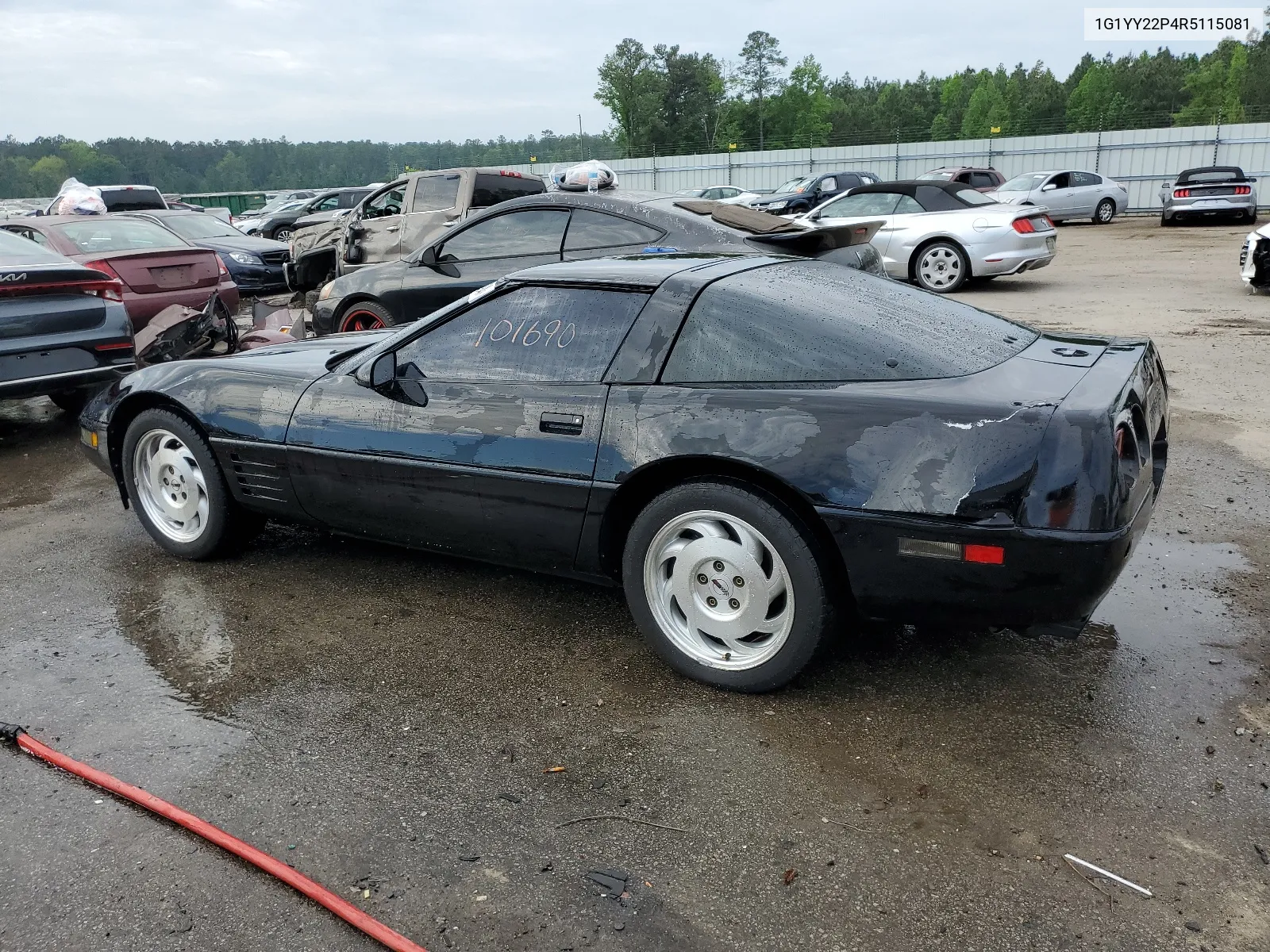 1994 Chevrolet Corvette VIN: 1G1YY22P4R5115081 Lot: 50983794