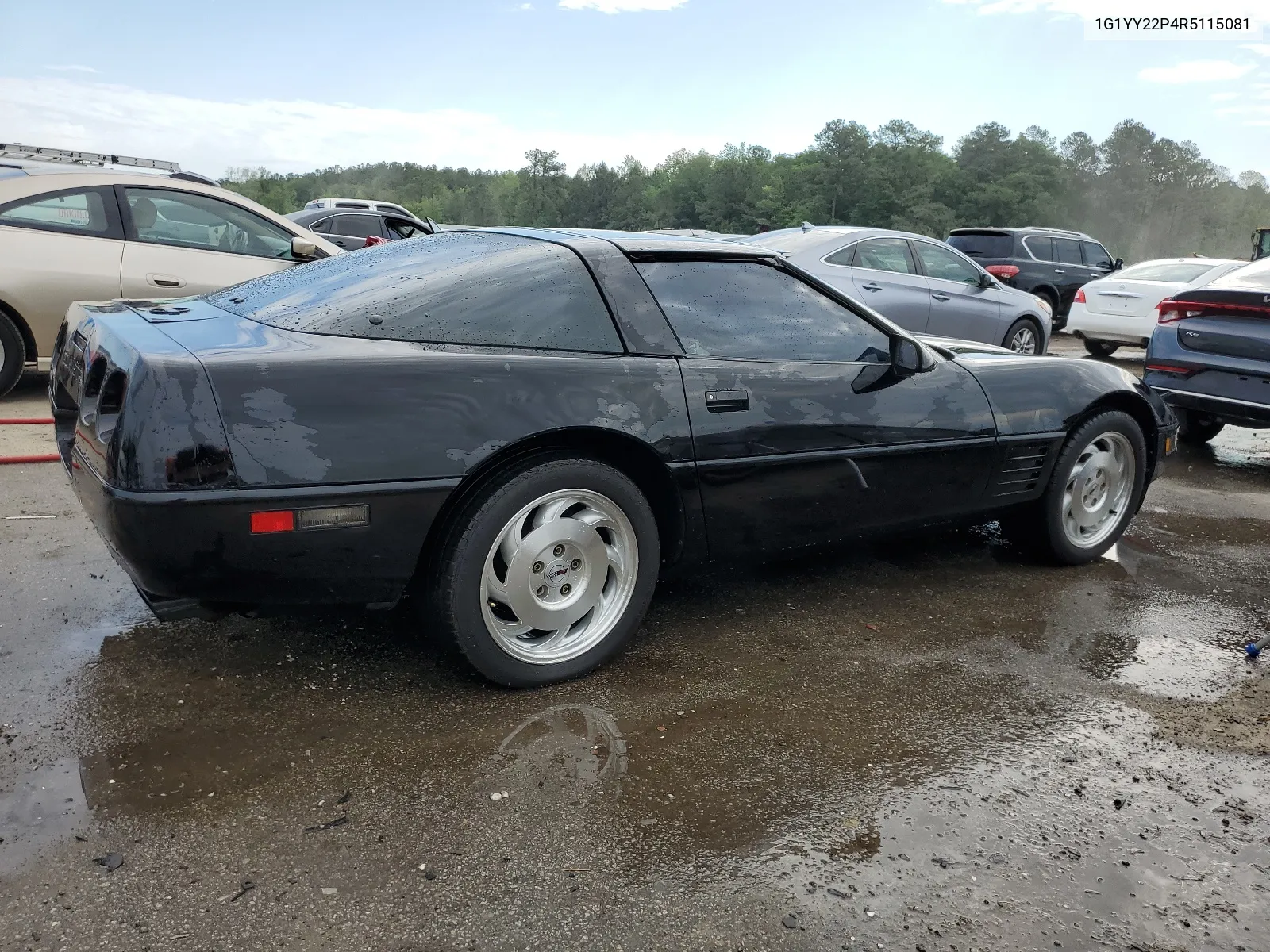 1994 Chevrolet Corvette VIN: 1G1YY22P4R5115081 Lot: 50983794