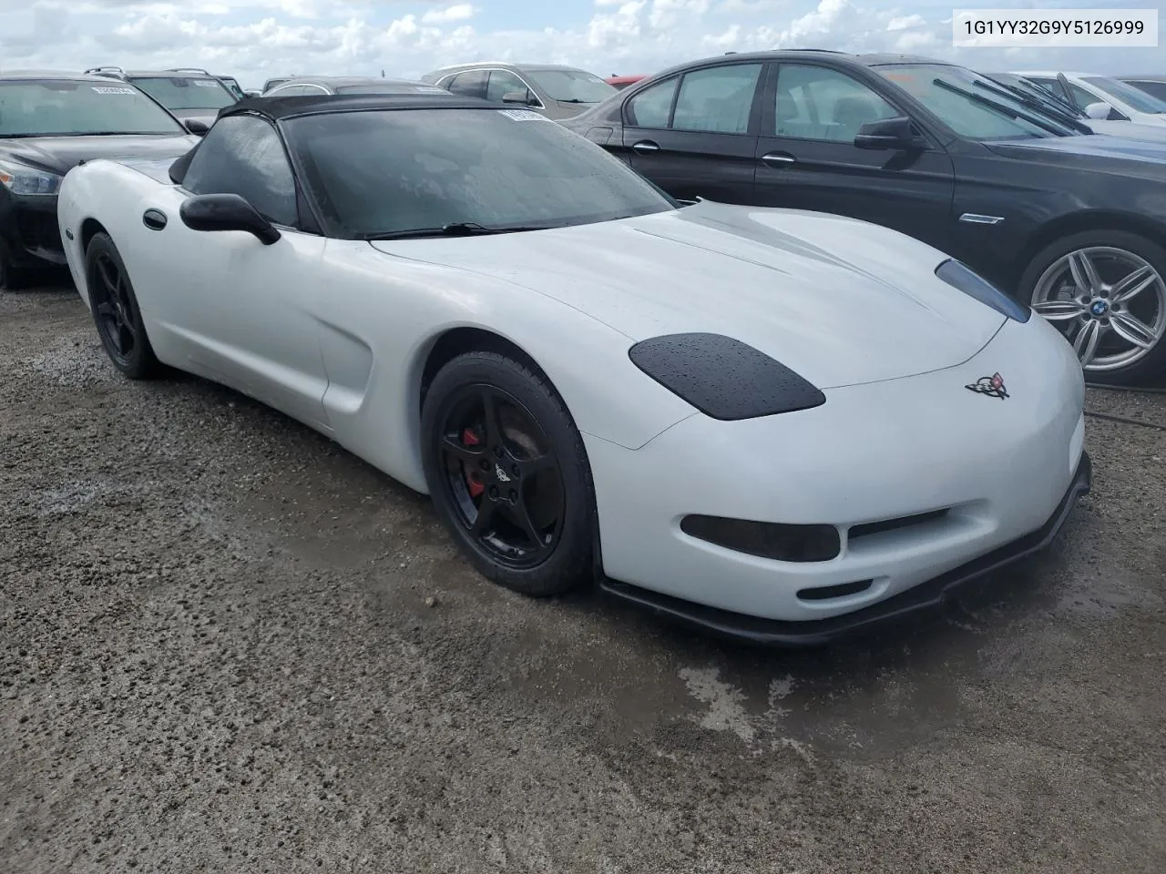 2000 Chevrolet Corvette VIN: 1G1YY32G9Y5126999 Lot: 74913464