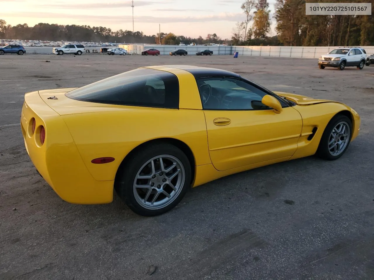 2002 Chevrolet Corvette VIN: 1G1YY22G725101567 Lot: 69254884