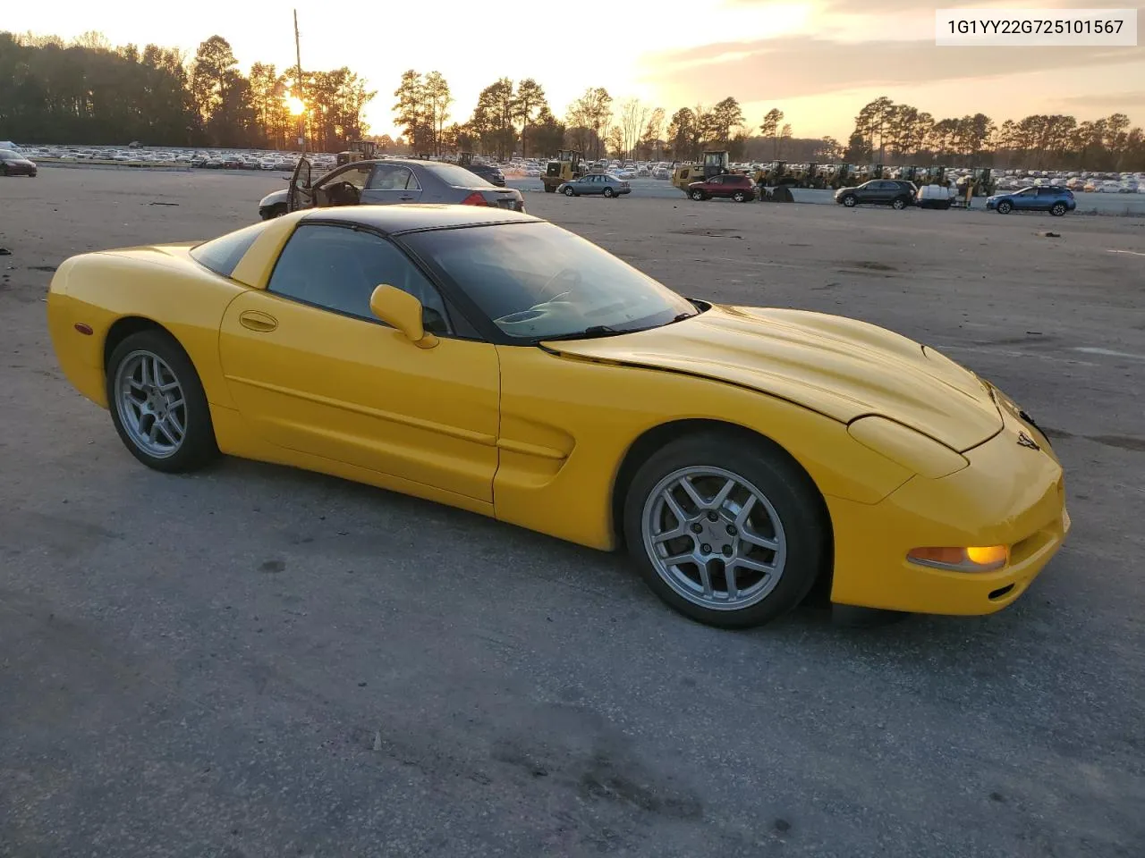 2002 Chevrolet Corvette VIN: 1G1YY22G725101567 Lot: 69254884