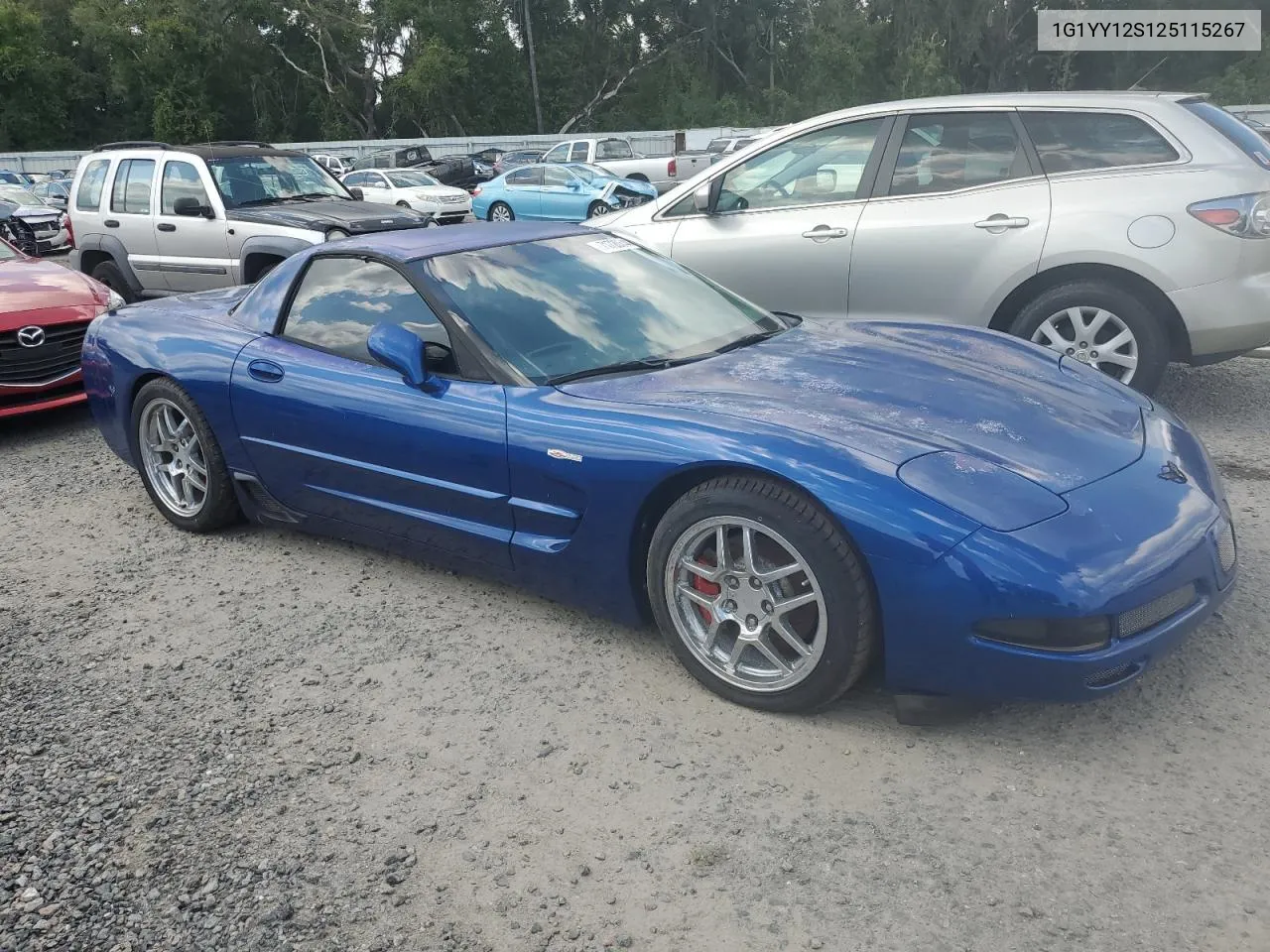 2002 Chevrolet Corvette Z06 VIN: 1G1YY12S125115267 Lot: 71720544