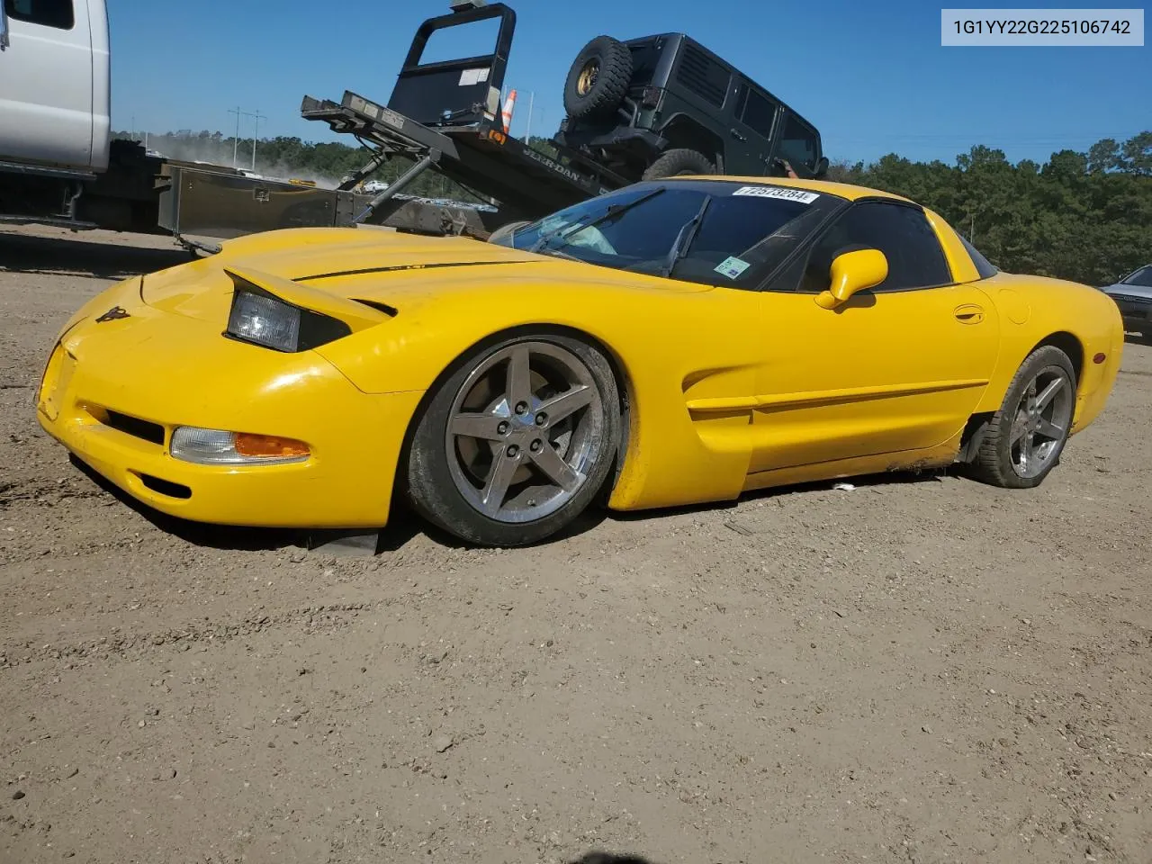 2002 Chevrolet Corvette VIN: 1G1YY22G225106742 Lot: 72573284