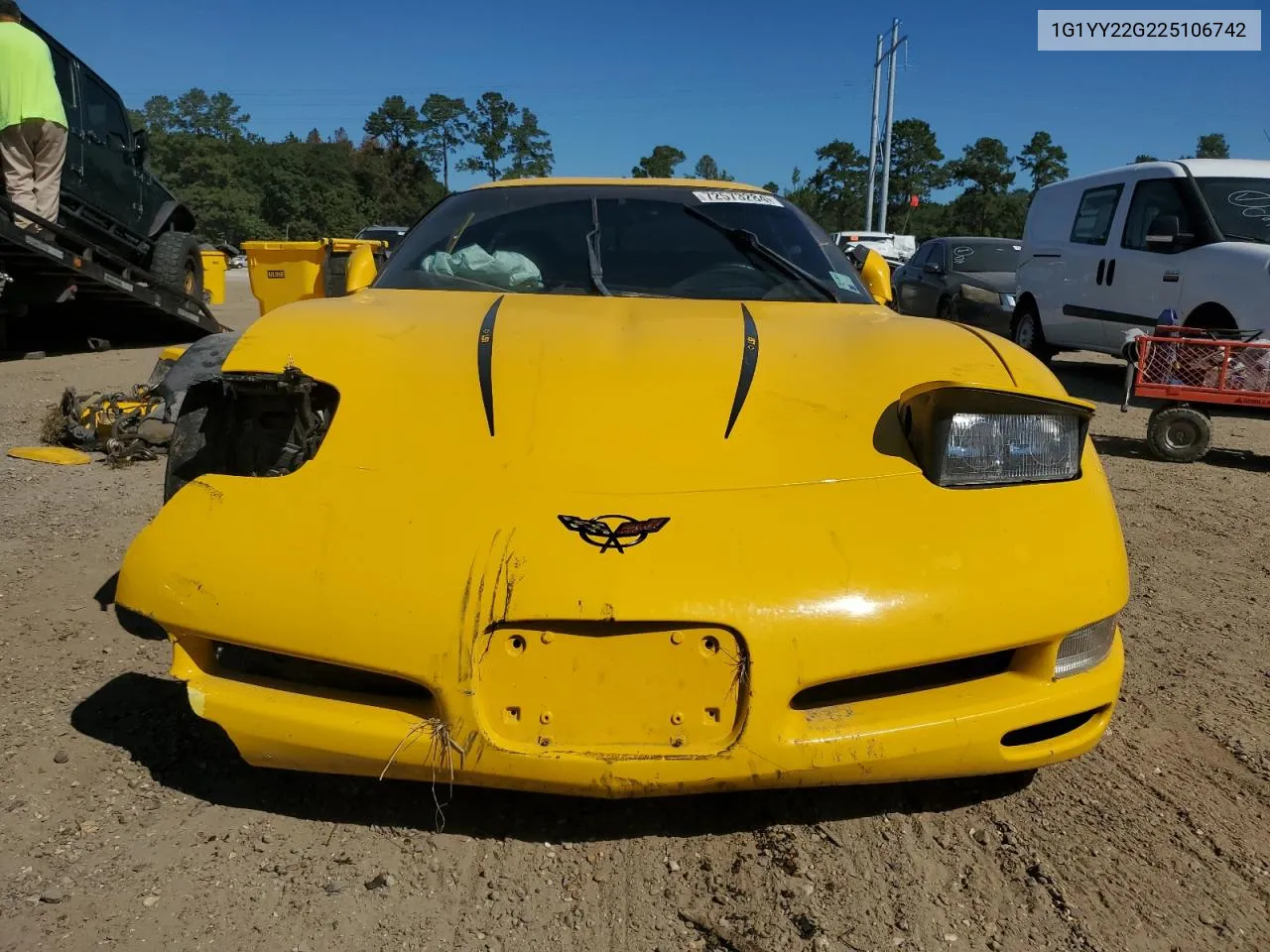 2002 Chevrolet Corvette VIN: 1G1YY22G225106742 Lot: 72573284