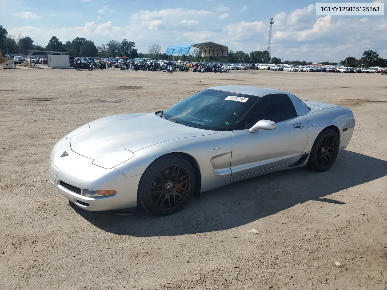 2002 Chevrolet Corvette Z06 VIN: 1G1YY12S025125563 Lot: 73230004