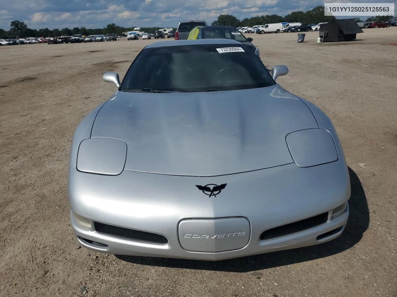 2002 Chevrolet Corvette Z06 VIN: 1G1YY12S025125563 Lot: 73230004