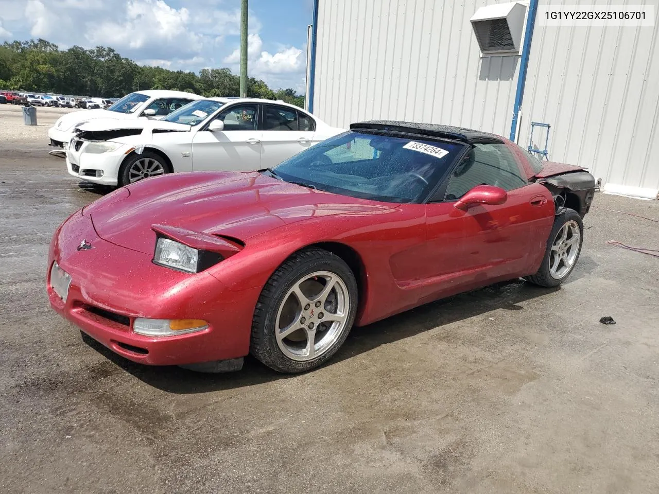 2002 Chevrolet Corvette VIN: 1G1YY22GX25106701 Lot: 73374264