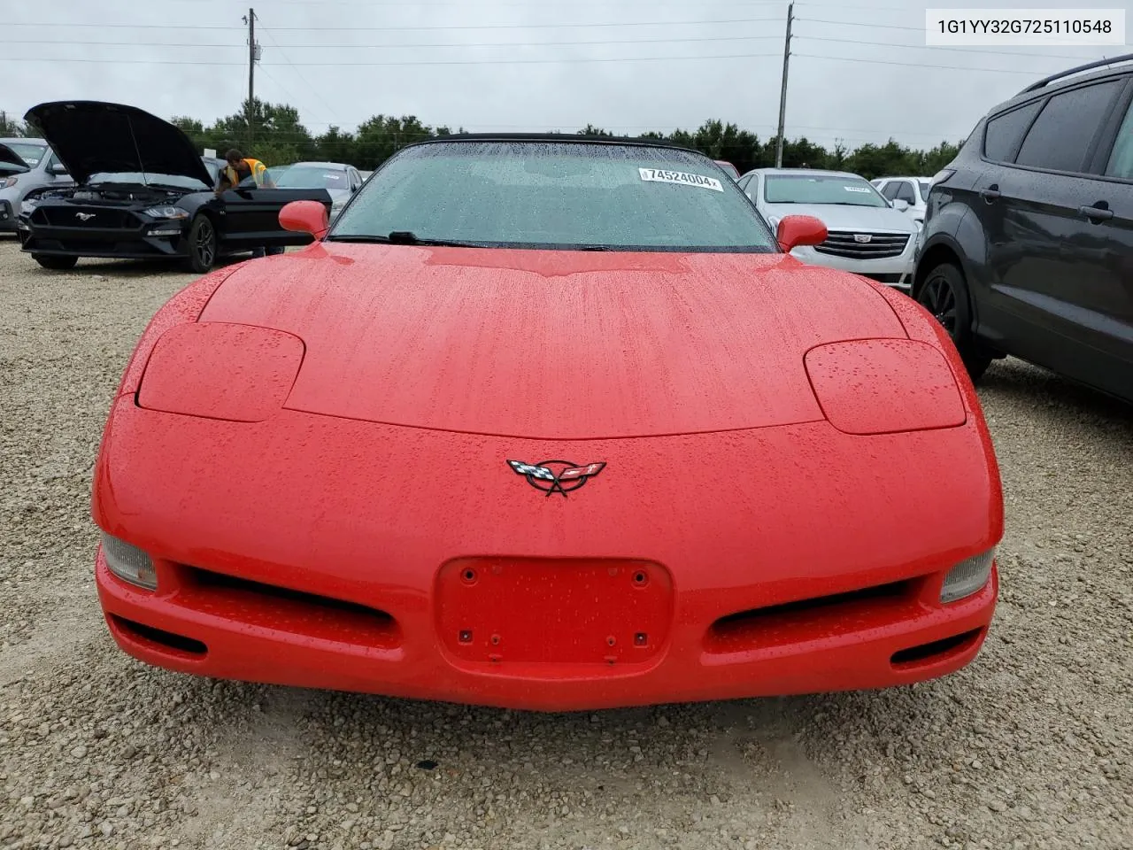 2002 Chevrolet Corvette VIN: 1G1YY32G725110548 Lot: 74524004