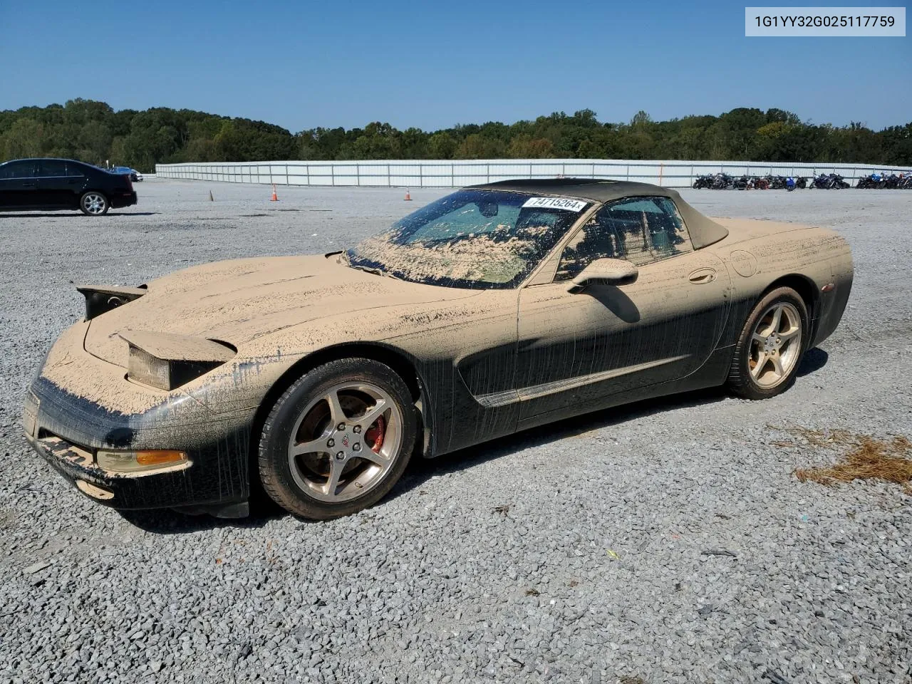 2002 Chevrolet Corvette VIN: 1G1YY32G025117759 Lot: 74715264