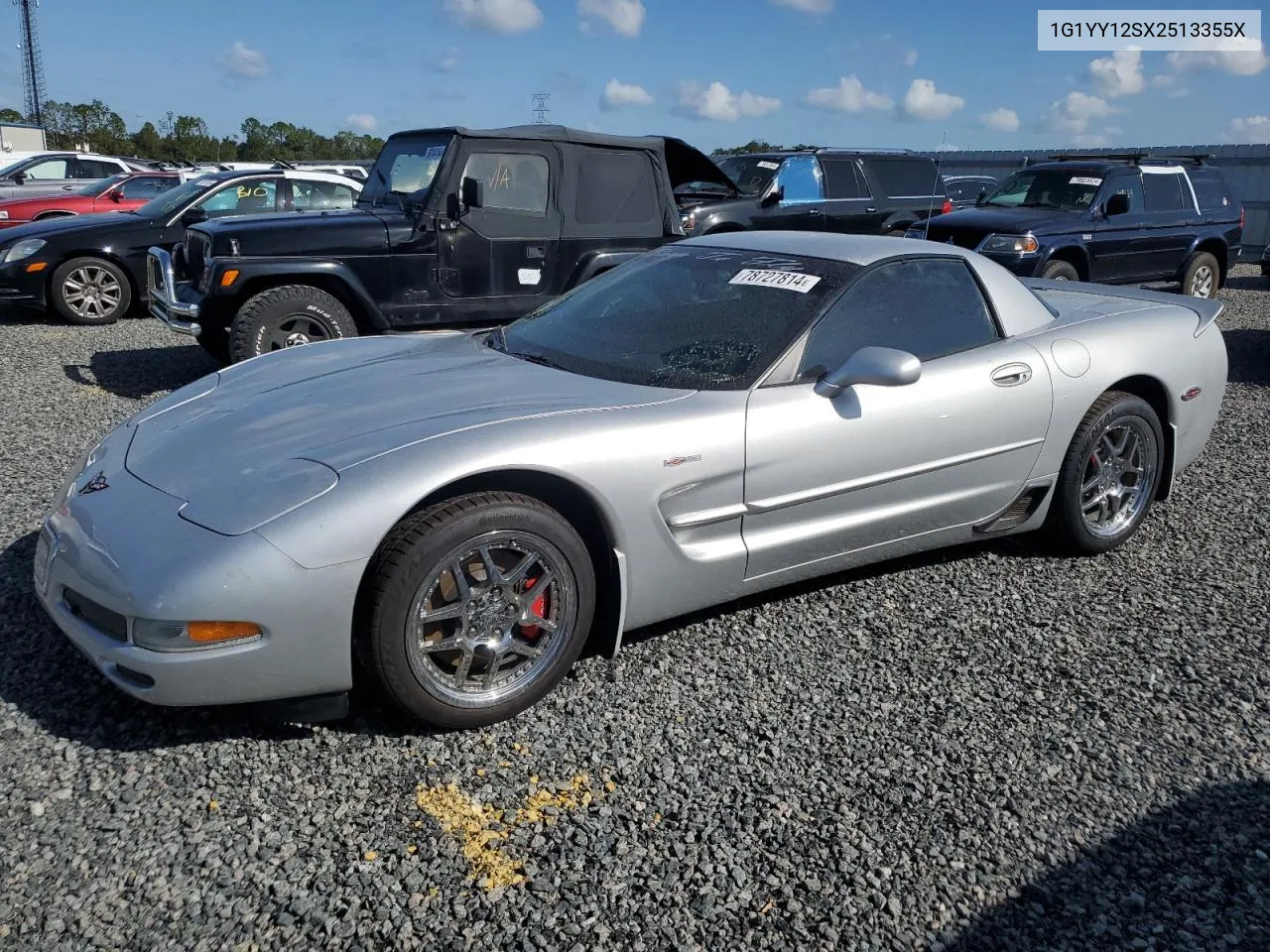 2002 Chevrolet Corvette Z06 VIN: 1G1YY12SX2513355X Lot: 78727814