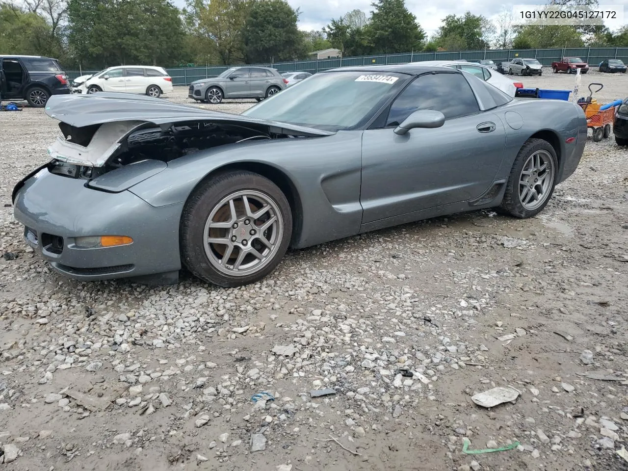 2004 Chevrolet Corvette VIN: 1G1YY22G045127172 Lot: 73534774