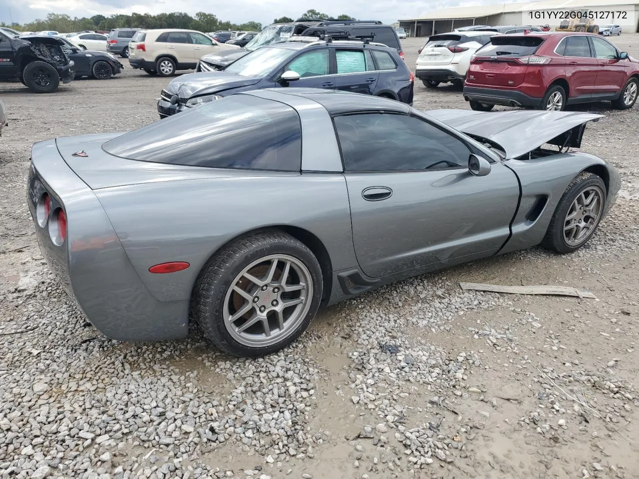 2004 Chevrolet Corvette VIN: 1G1YY22G045127172 Lot: 73534774