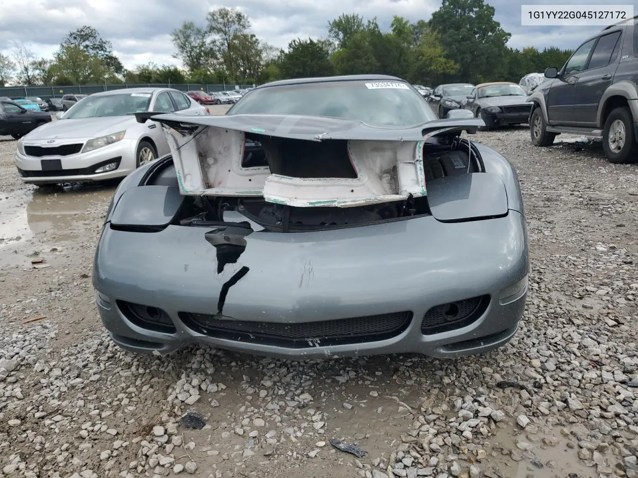 2004 Chevrolet Corvette VIN: 1G1YY22G045127172 Lot: 73534774