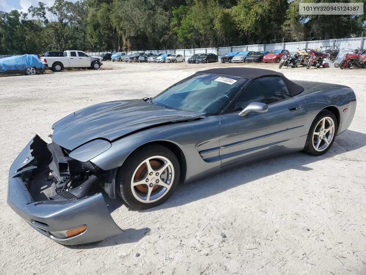 2004 Chevrolet Corvette VIN: 1G1YY32G945124387 Lot: 77113234